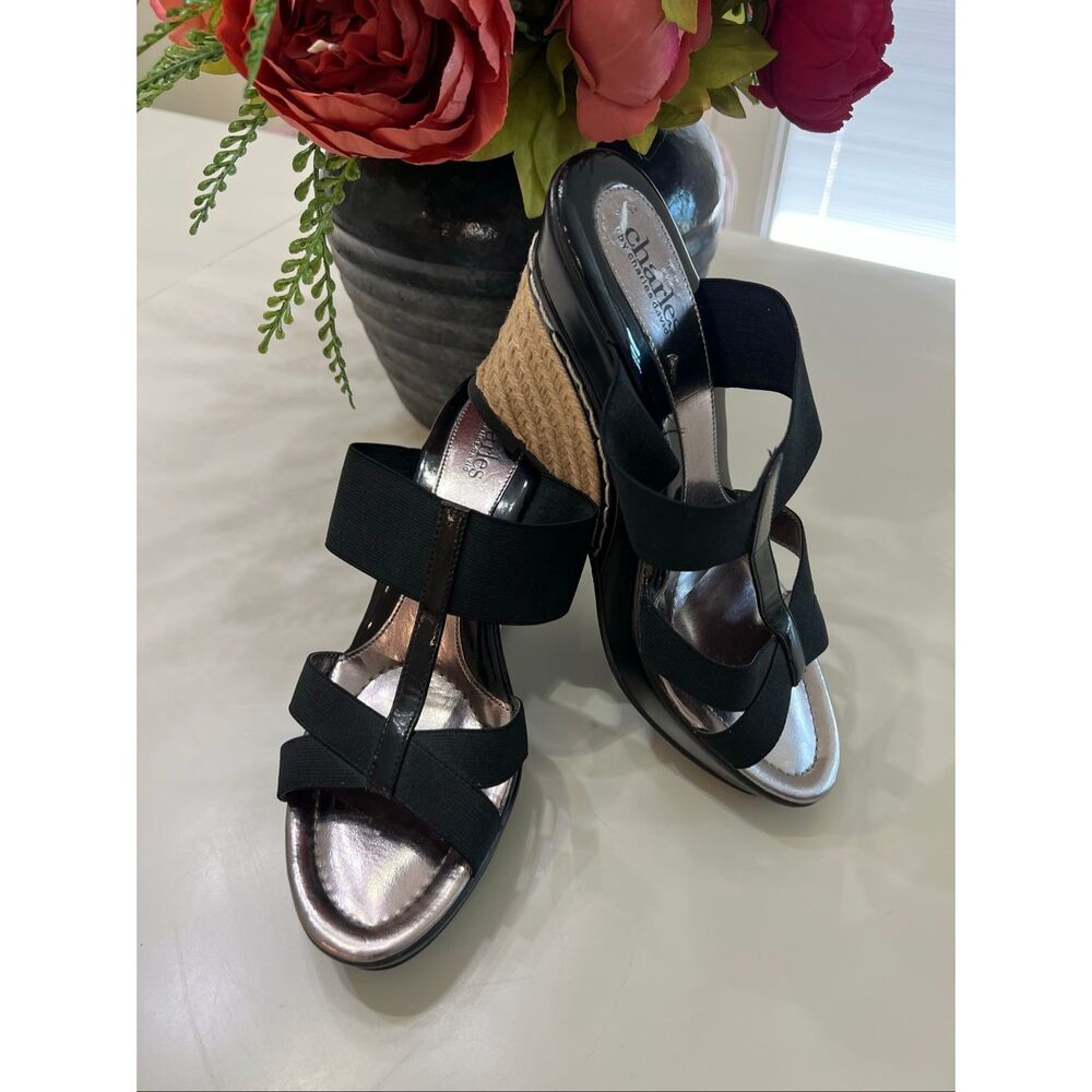 Charles by Charles David Women's Slide Platform Wedge Sandals Black Size 7.5